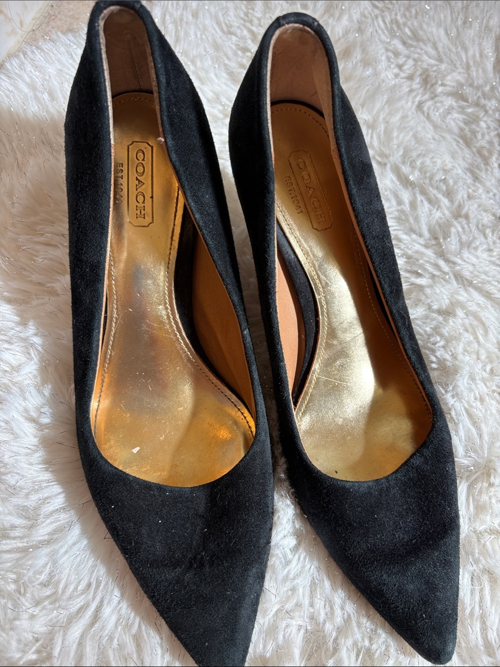 Coach Black Suede Pointed-Toe Pumps with Gold Insole